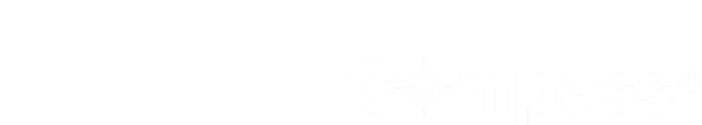 The Strategy Compass